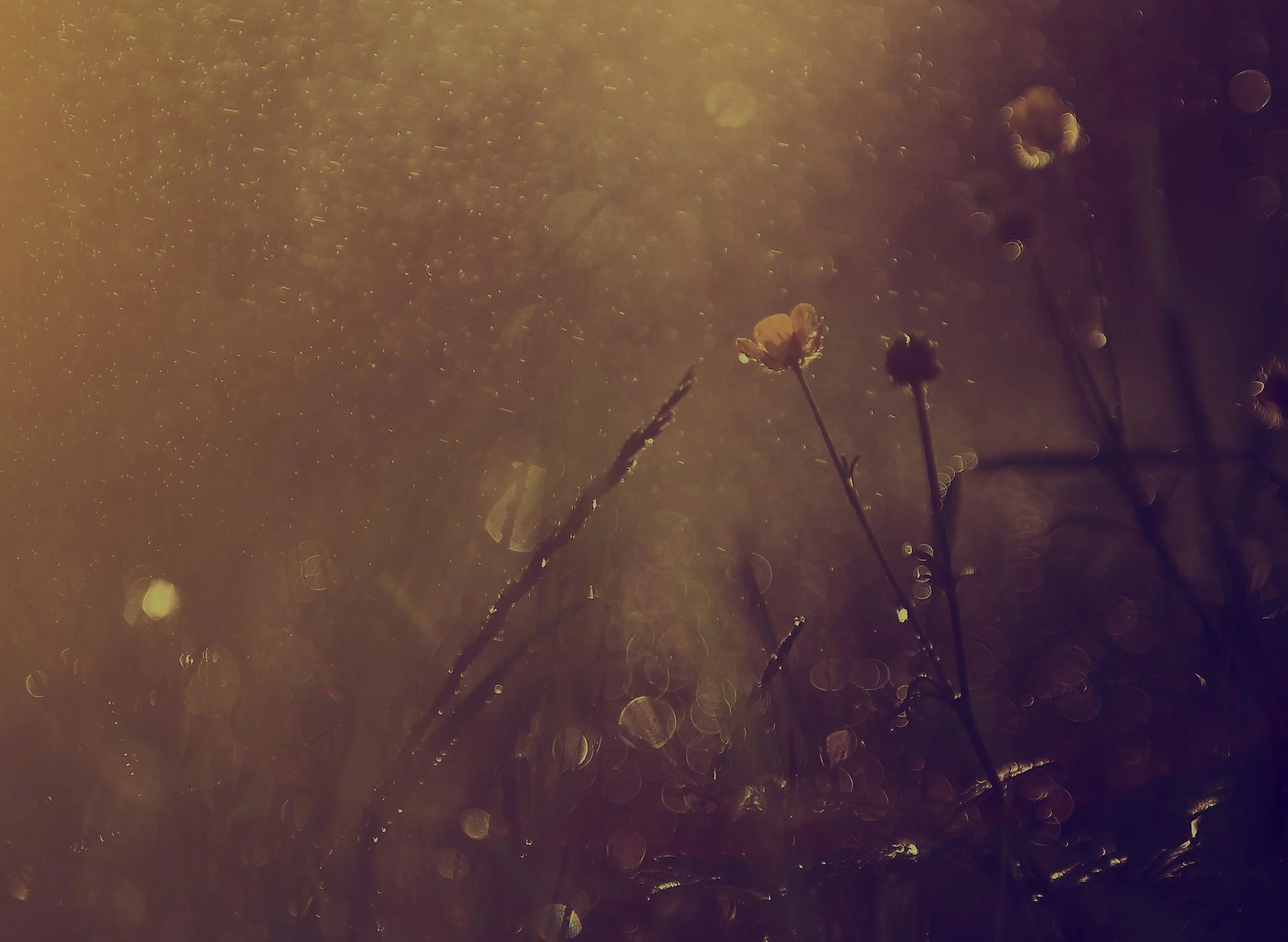 New Beginnings